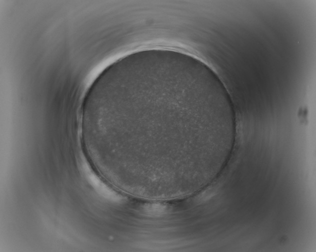 X0000111431515200907271053