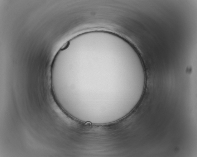 X0000111431516200907271053