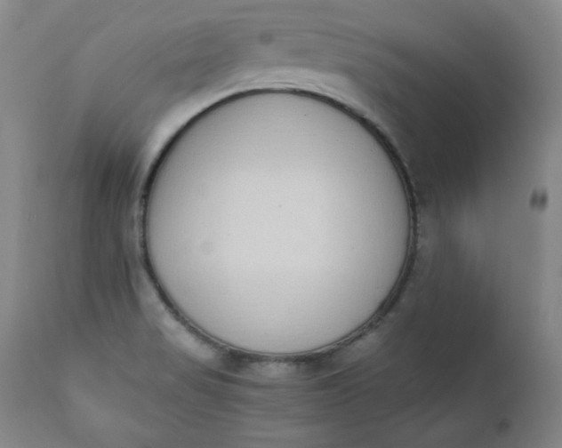 X0000111431517200907271053