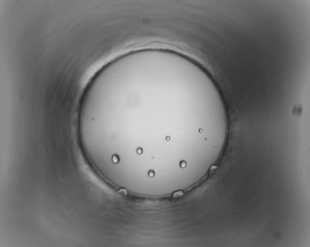 X0000111431518200907271053