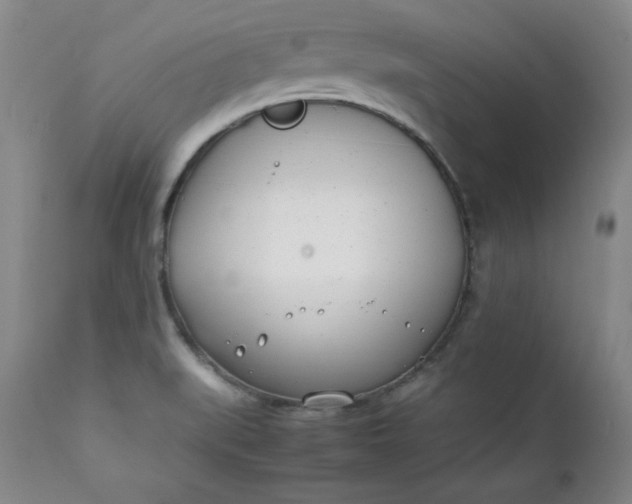 X0000111431519200907271053