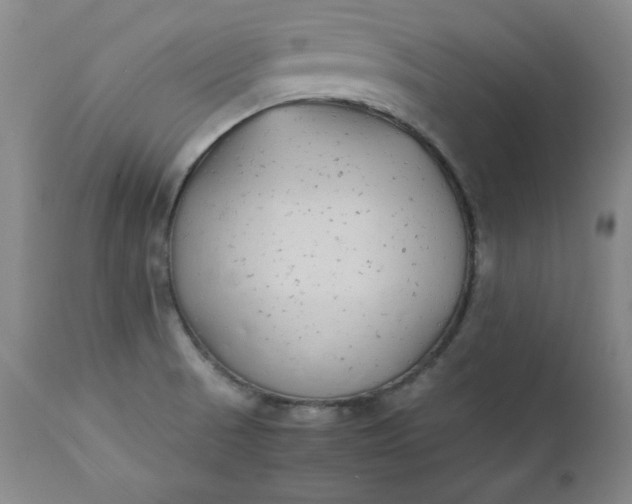 X0000111431521200907271053