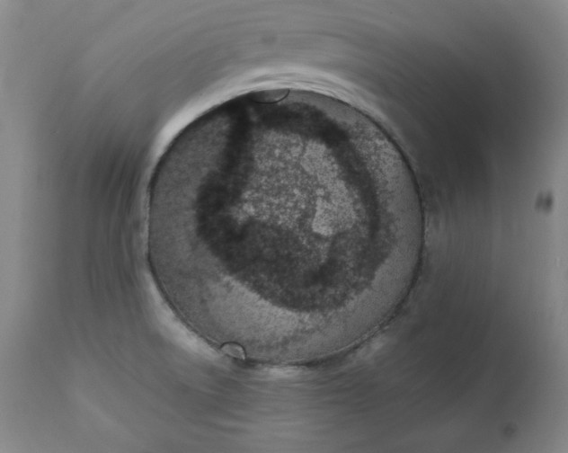 X0000111431522200907271053