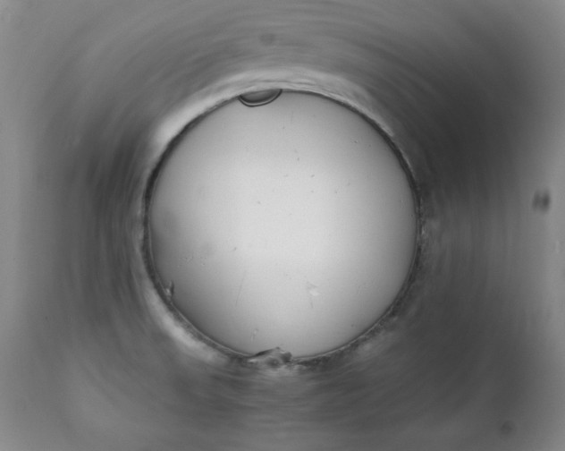 X0000111431523200907271053