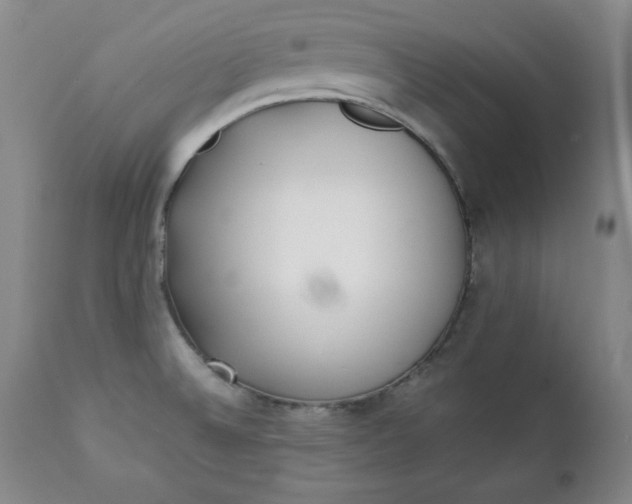 X0000111431524200907271053