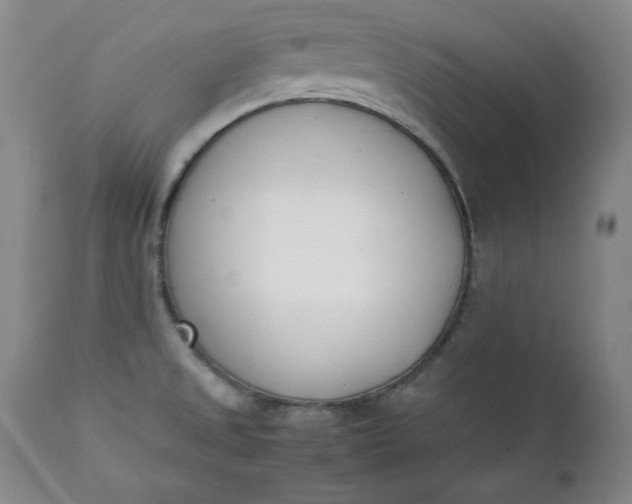 X0000111431525200907271053