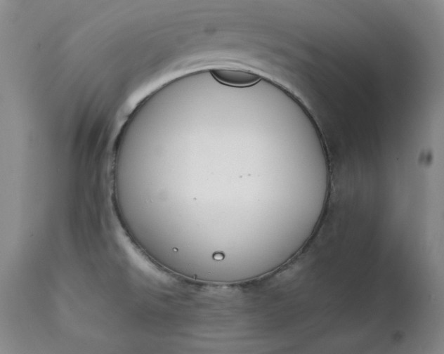 X0000111431526200907271053