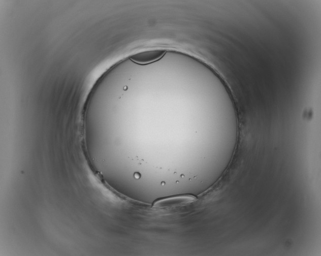 X0000111431527200907271053