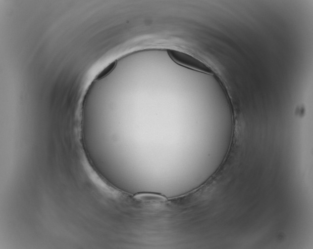 X0000111431528200907271053