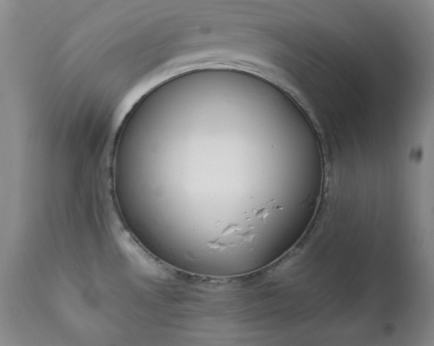 X0000111431530200907271053