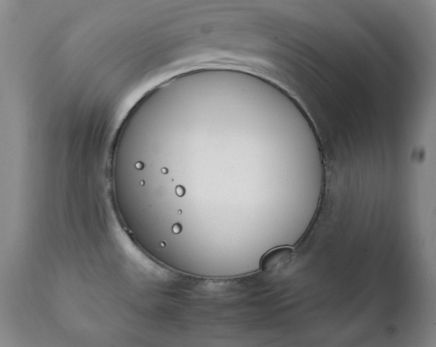 X0000111431531200907271053