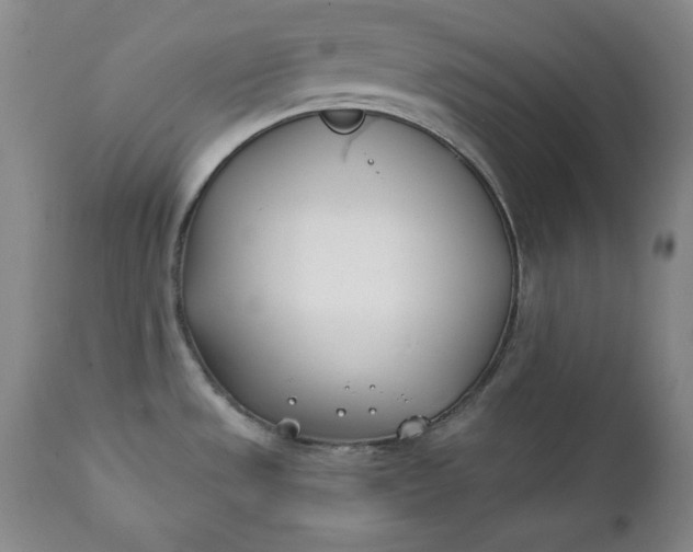 X0000111431533200907271053