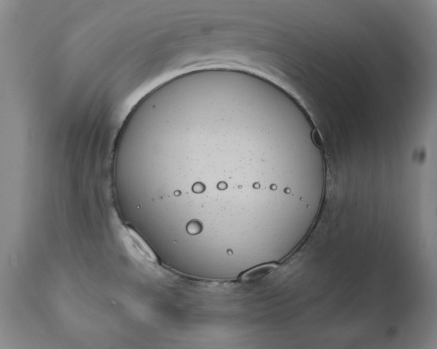 X0000111431534200907271053