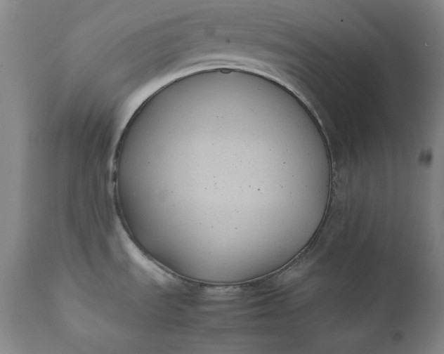 X0000111431535200907271053