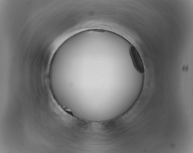 X0000111431536200907271053