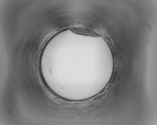 X0000111430001200908031341