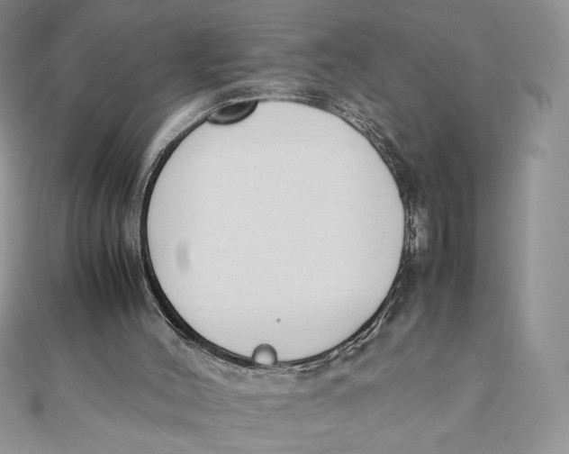 X0000111430004200908031341