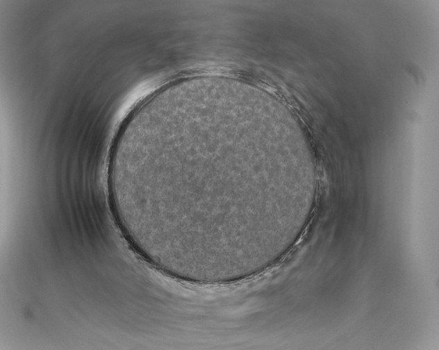 X0000111430006200908031341