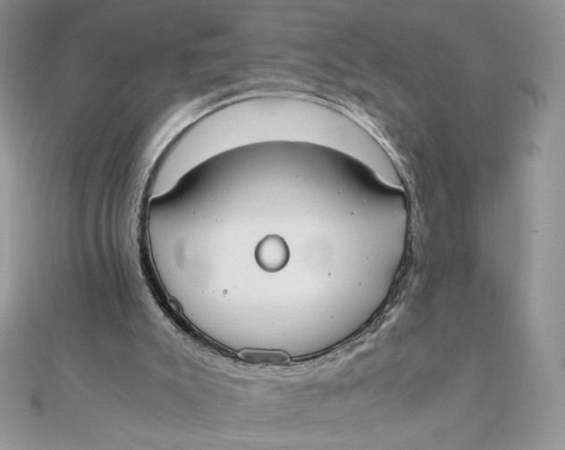 X0000111430007200908031341