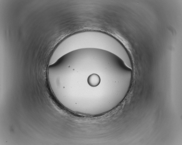 X0000111430009200908031341