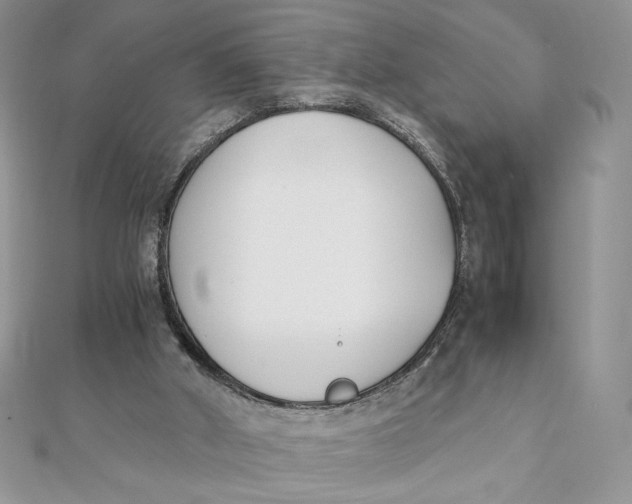 X0000111430010200908031341