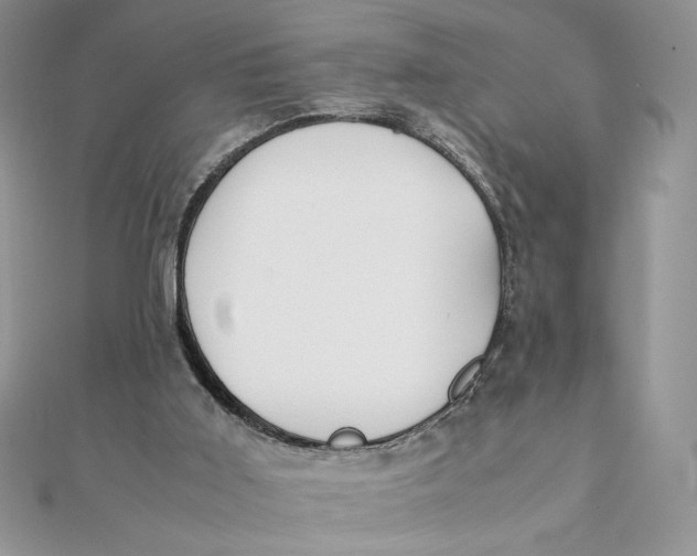 X0000111430011200908031341