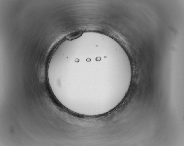 X0000111430012200908031341