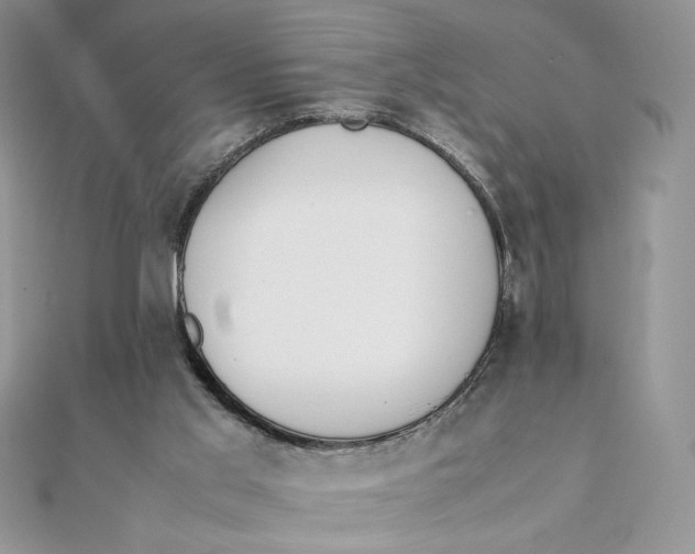 X0000111430013200908031341