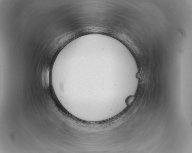 X0000111430014200908031341