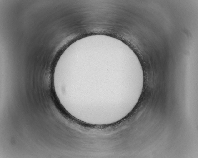 X0000111430016200908031341