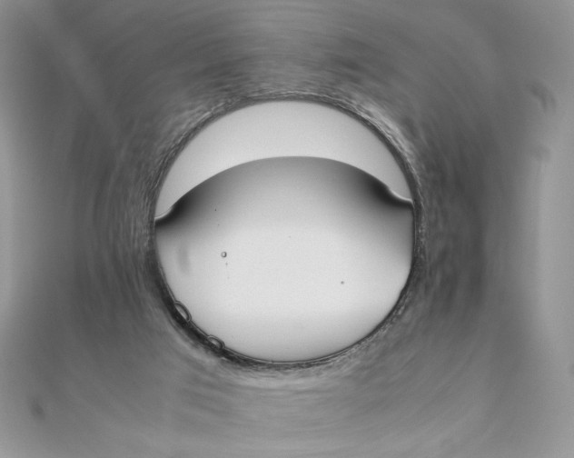 X0000111430017200908031341