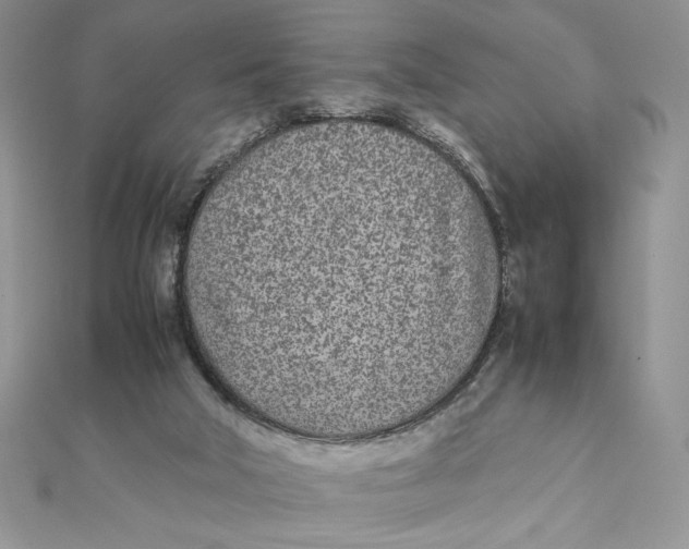 X0000111430018200908031341