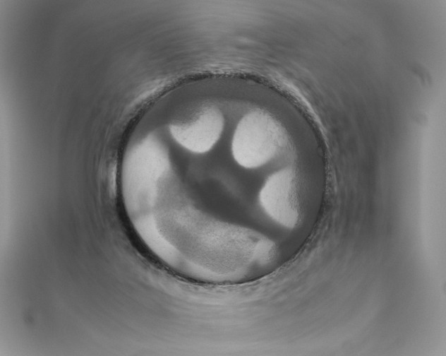 X0000111430019200908031341