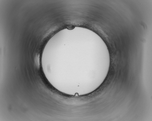 X0000111430020200908031341