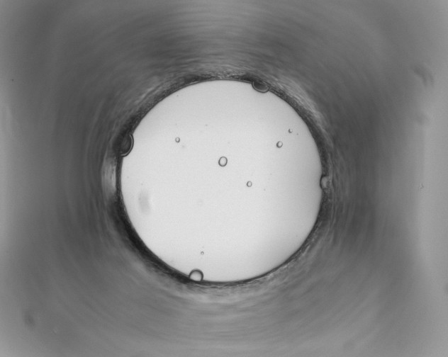 X0000111430021200908031341