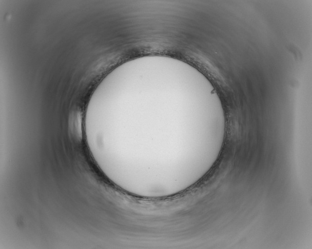 X0000111430022200908031341