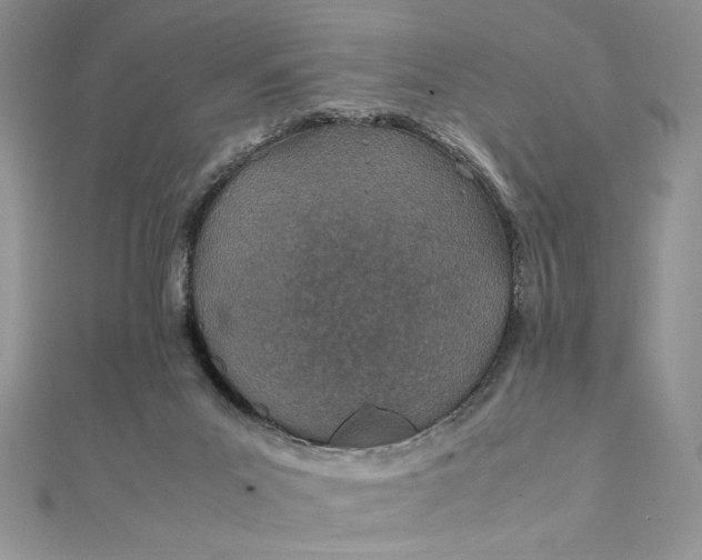 X0000111430023200908031341