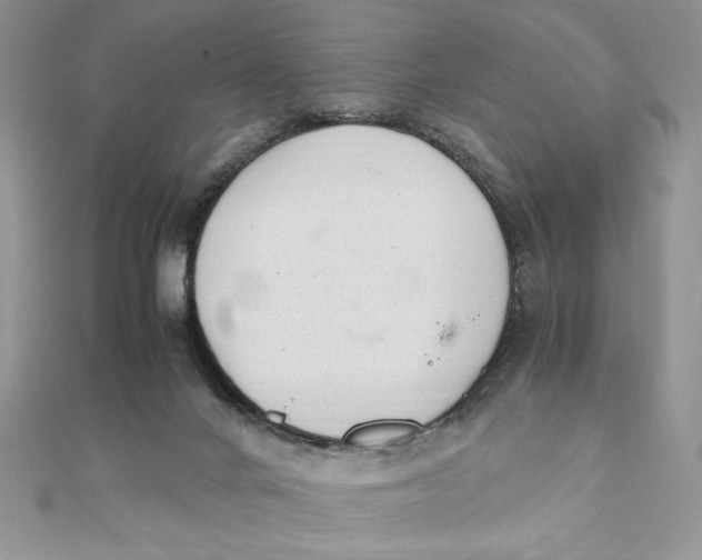 X0000111430024200908031341