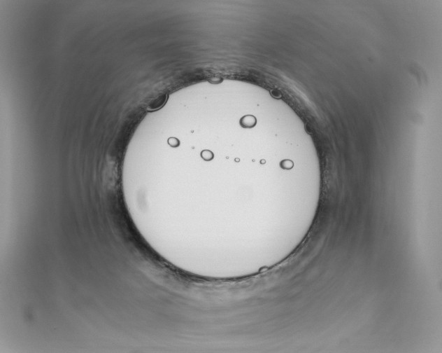 X0000111430025200908031341