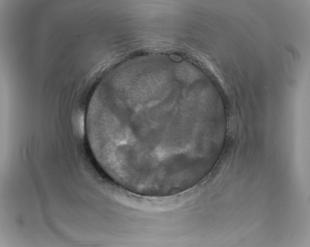 X0000111430027200908031341