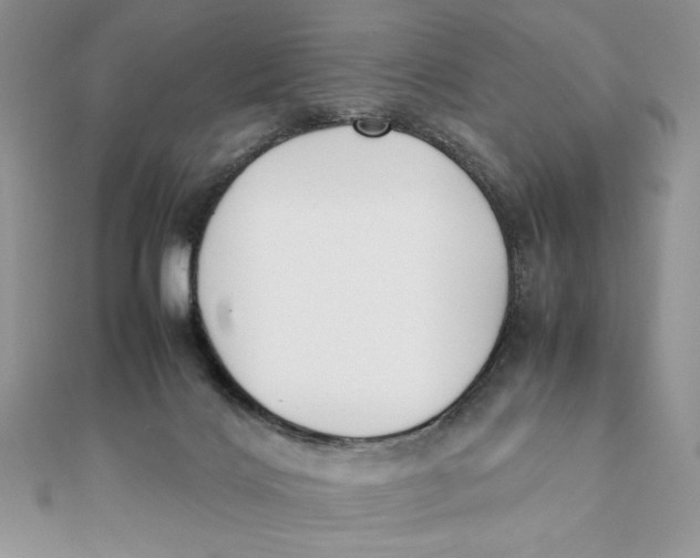 X0000111430028200908031341