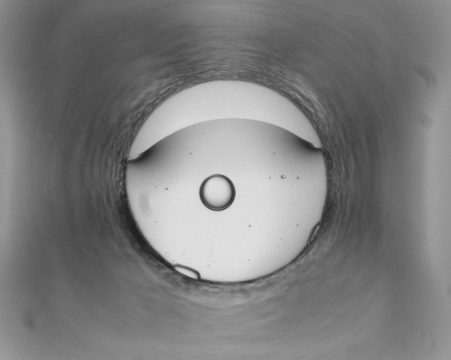 X0000111430029200908031341