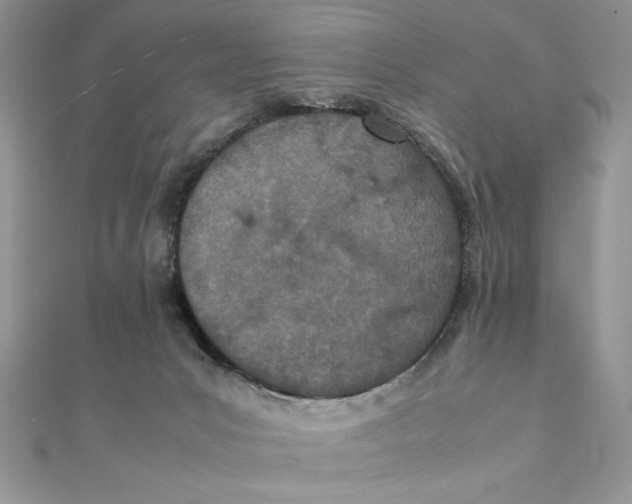 X0000111430031200908031341