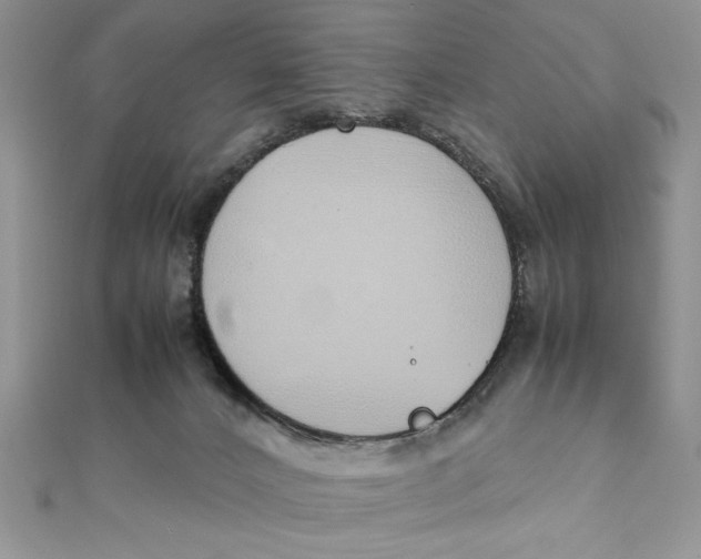 X0000111430032200908031341