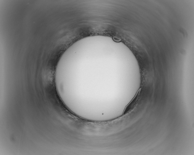 X0000111430033200908031341