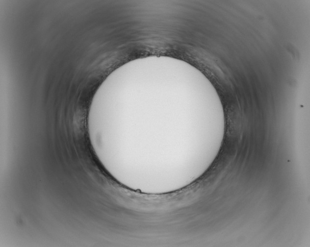 X0000111430034200908031341