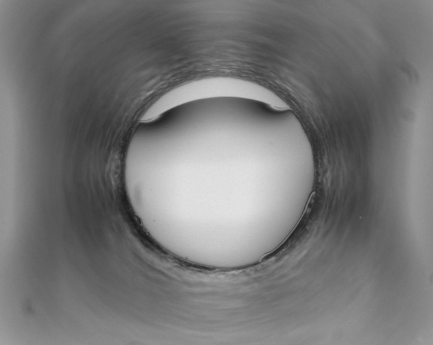 X0000111430036200908031341