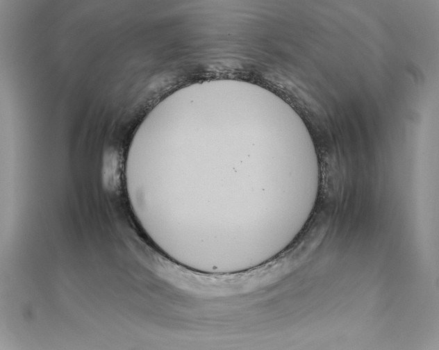 X0000111430038200908031341