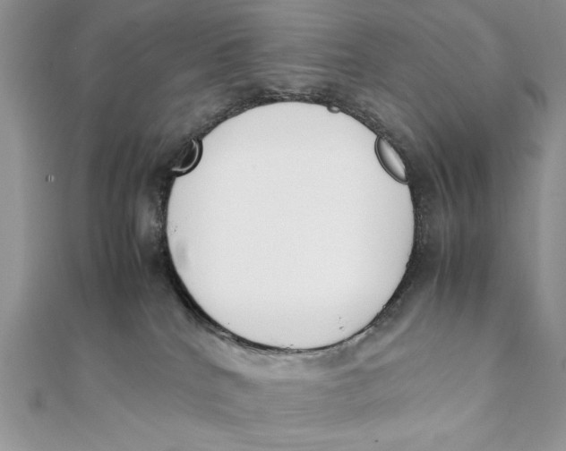 X0000111430040200908031341