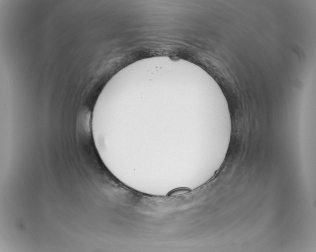 X0000111430041200908031341